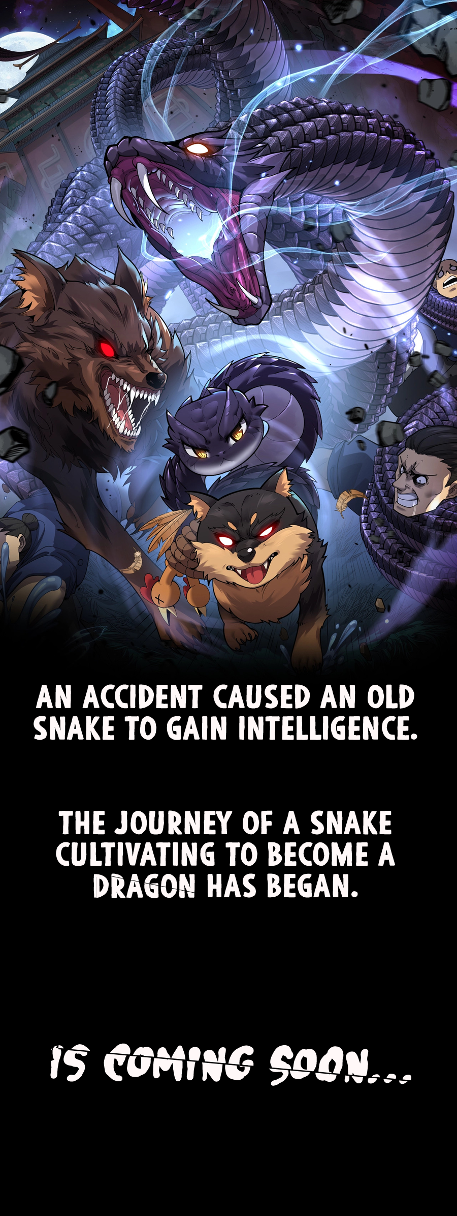 Tale of Old Snake Cultivation 第1页