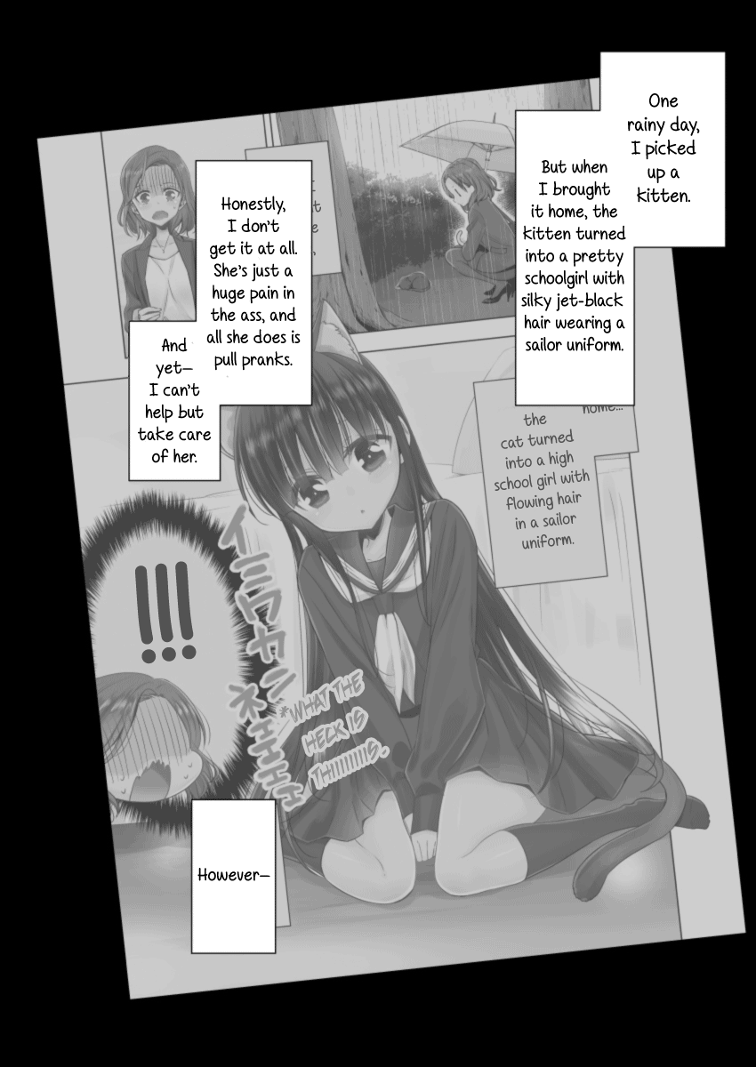 Story about OL-san Picking up a Cat Story about an OL Taking a Bath with Her Cat 第4页