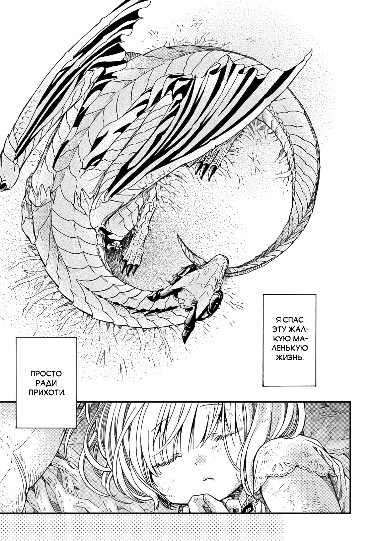 Hone Dragon no Mana Musume Старый дракон ещё не умер 第12页