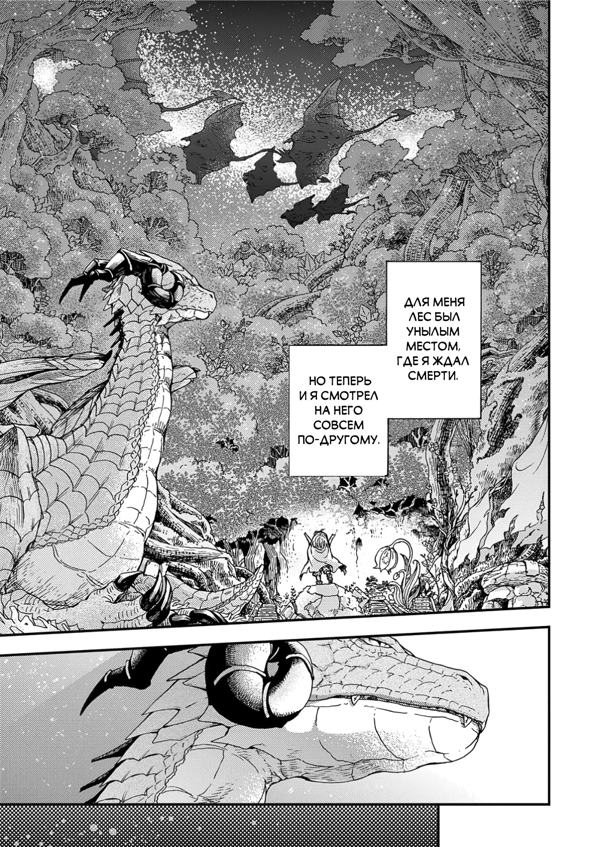 Hone Dragon no Mana Musume Старый дракон ещё не умер 第18页