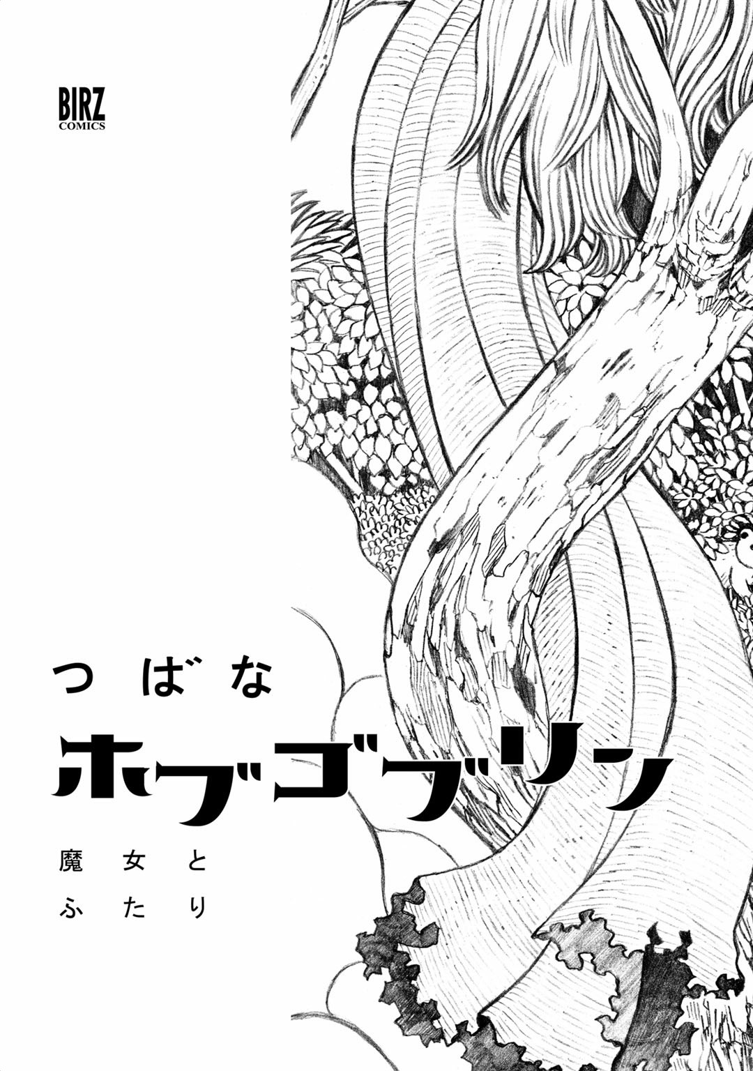 Hobgoblin - Majo to Futari 第5页