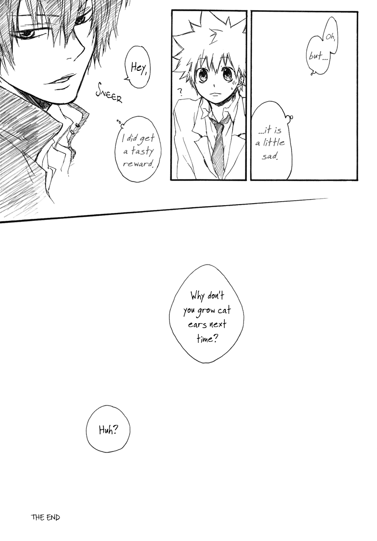 Katekyo Hitman Reborn! - Theseuse H (Doujinshi) Oneshot 第17页
