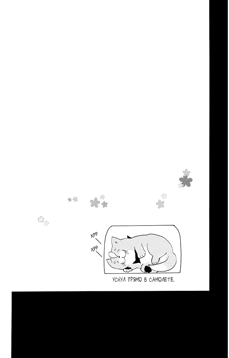 The Young Master's Revenge 第7页