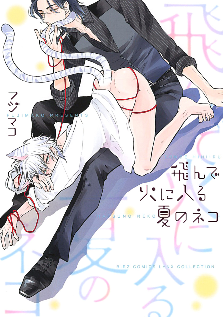 Tonde Hi ni Iru Natsu no Neko 第1页