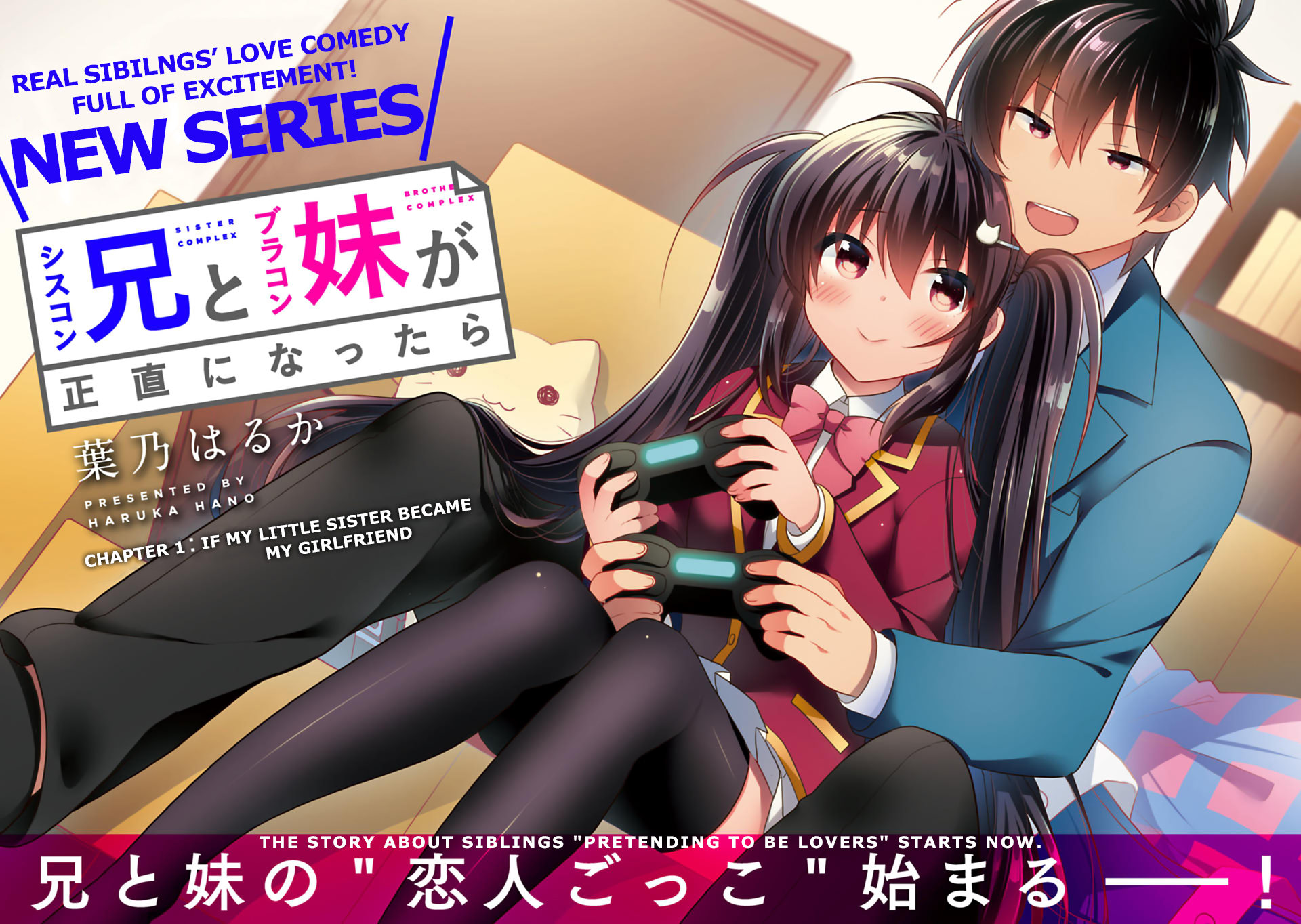 Siscon Ani to Brocon Imouto ga Shoujiki ni Nattara 第6页