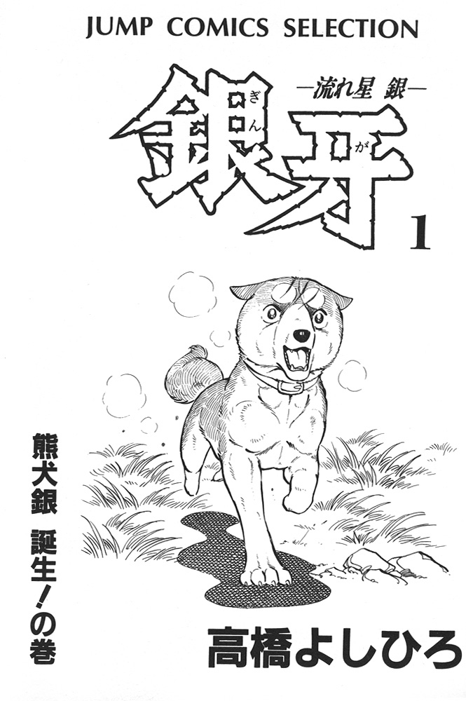 Silver Fang – The Shooting Star Gin – 第3页