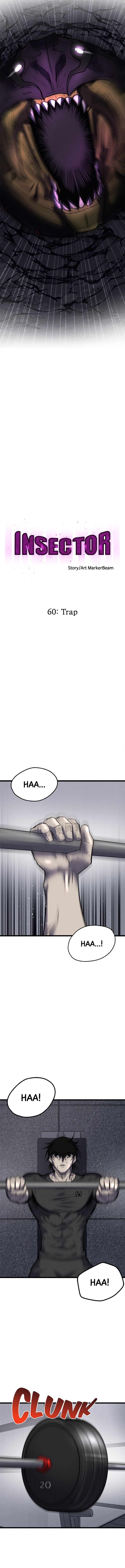 Insector 第8页