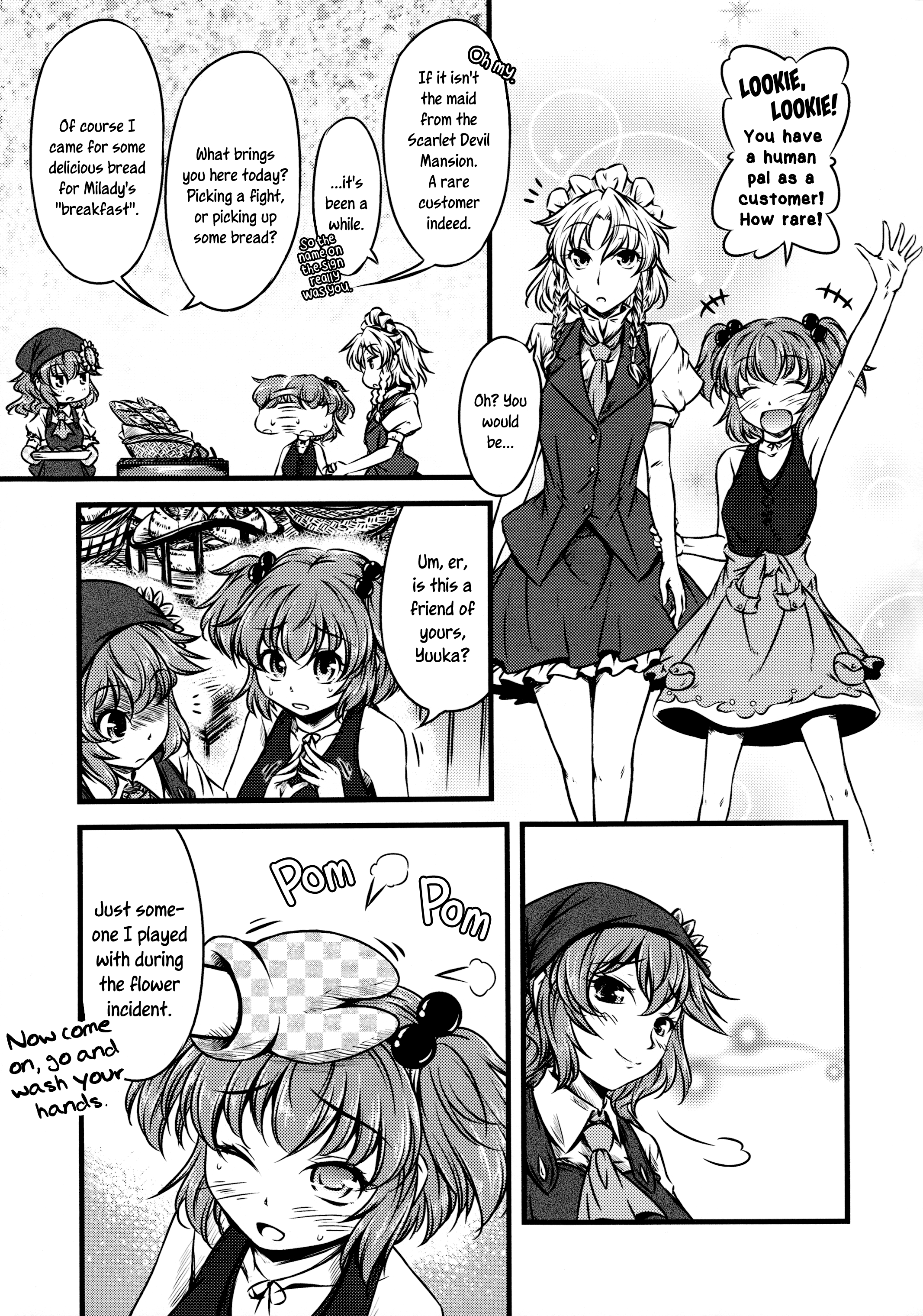 Touhou - Yaketemasu yo Yuuka-san (Doujinshi) Oneshot 第9页