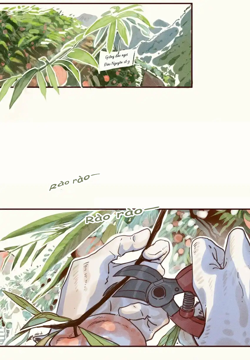 My Dear Lass 第2页