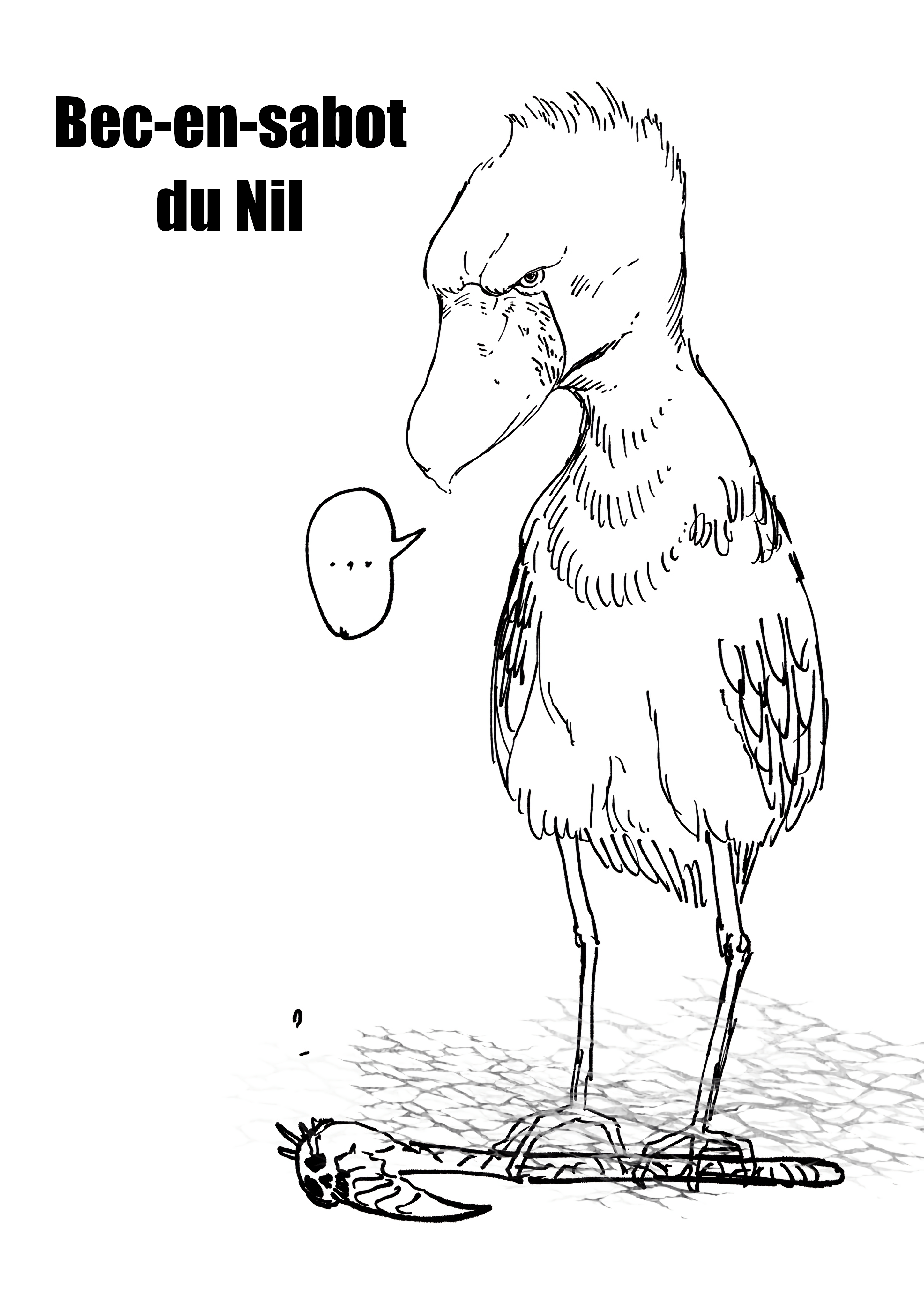 Field Guide to the Crazed Murderers Reincarnated as Animals 第8页