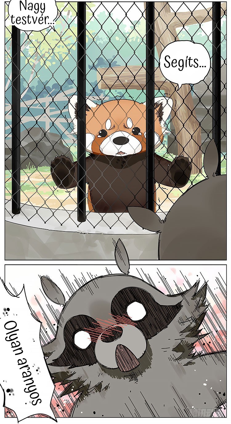 Please Call Me Red Panda Menjünk az állatkertbe 第2页