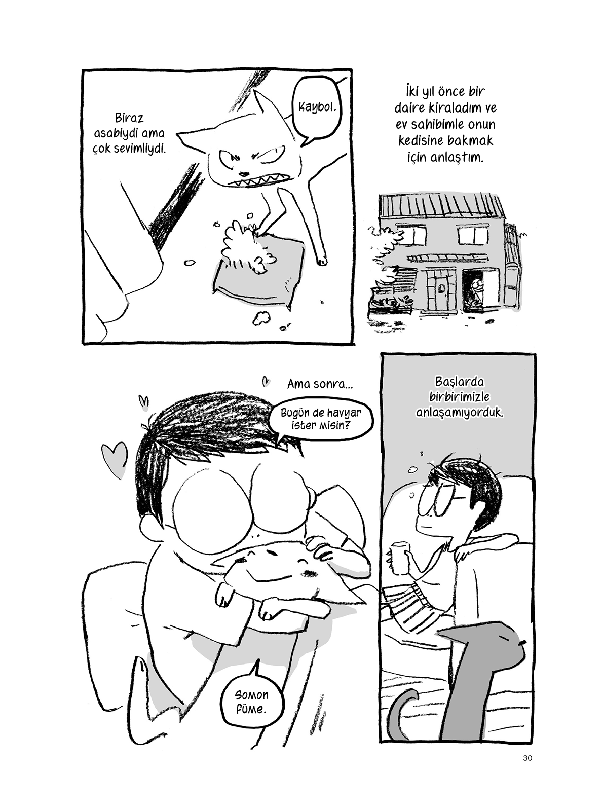 Henshin Pisi ve Ben 第4页