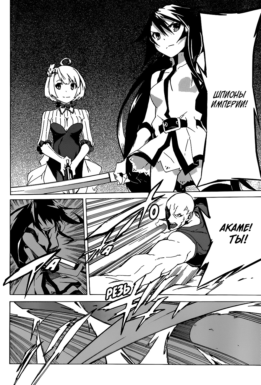 Akame ga KILL! Zero Две девчушки 第34页