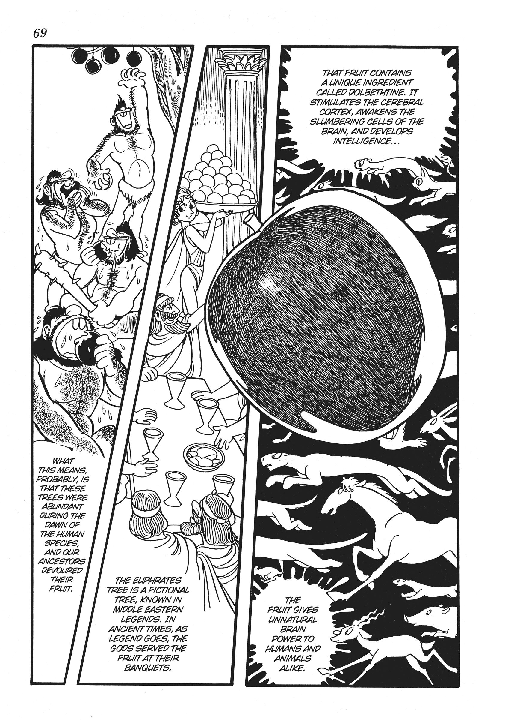 The Euphrates Tree The Warning of Shonosuke Kama 第29页