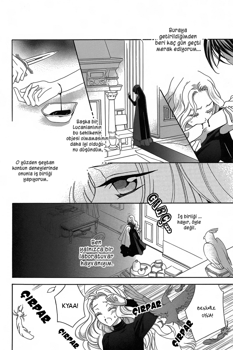 Kyuuketsuki no Uruwashiki Kekkon Ayın Altındaki Yalan Aşka Dönüşür 第17页