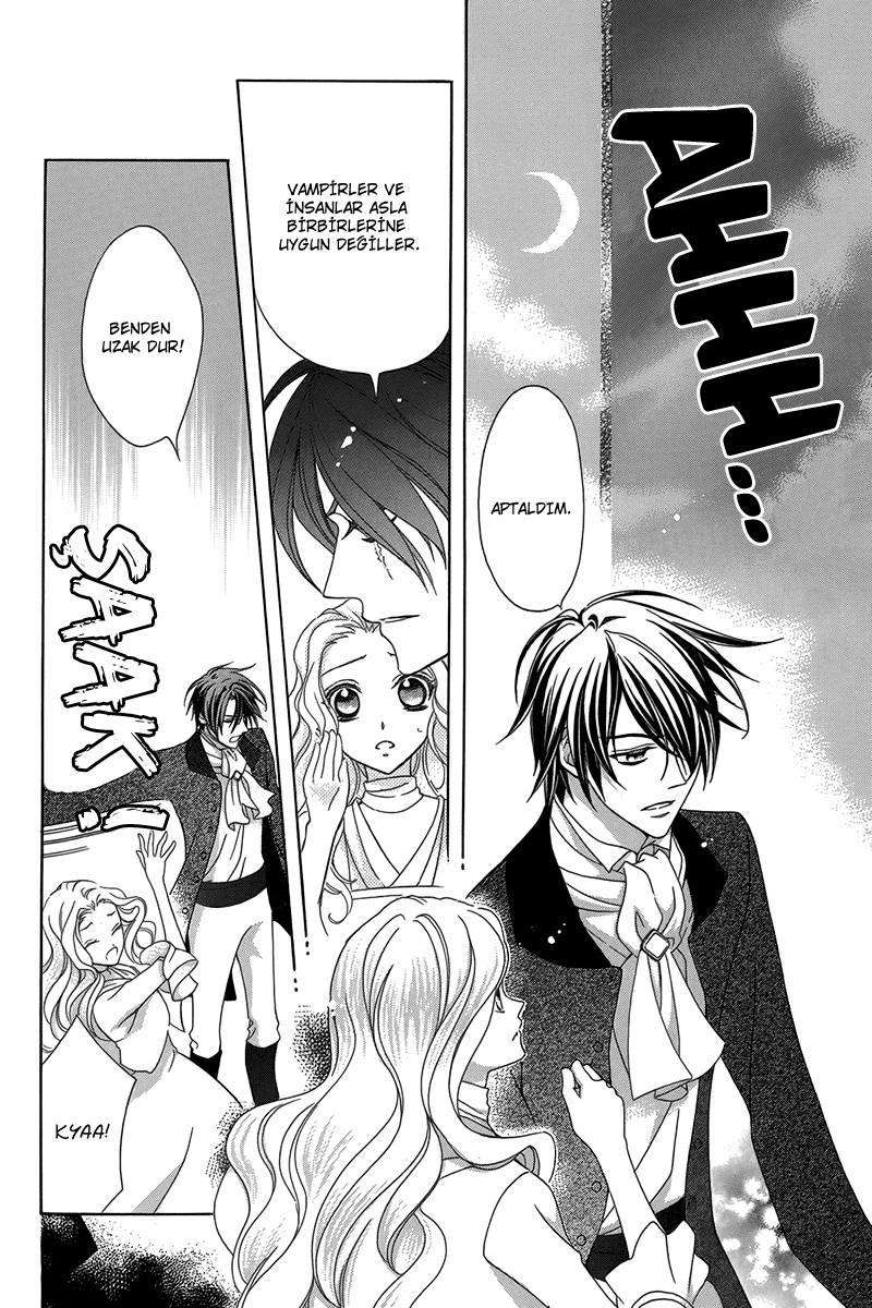 Kyuuketsuki no Uruwashiki Kekkon Ayın Altındaki Yalan Aşka Dönüşür 第27页