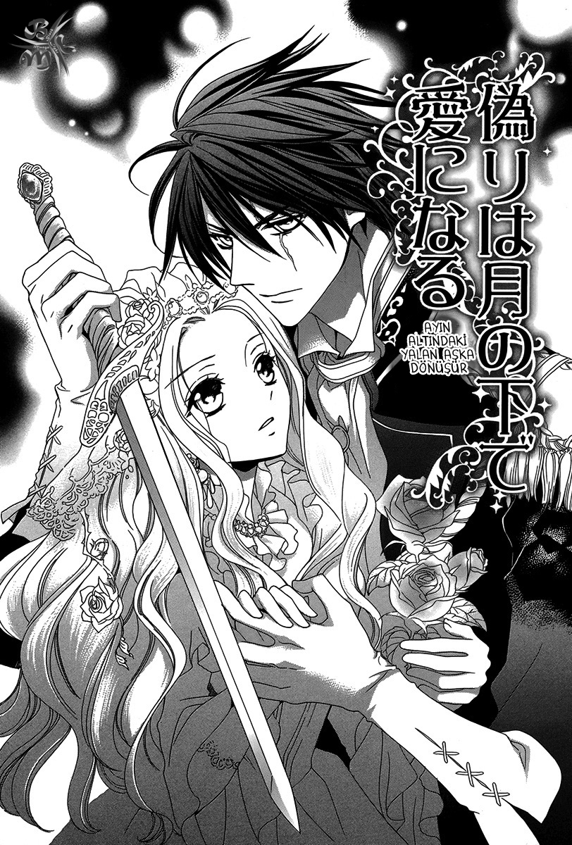 Kyuuketsuki no Uruwashiki Kekkon Ayın Altındaki Yalan Aşka Dönüşür 第8页