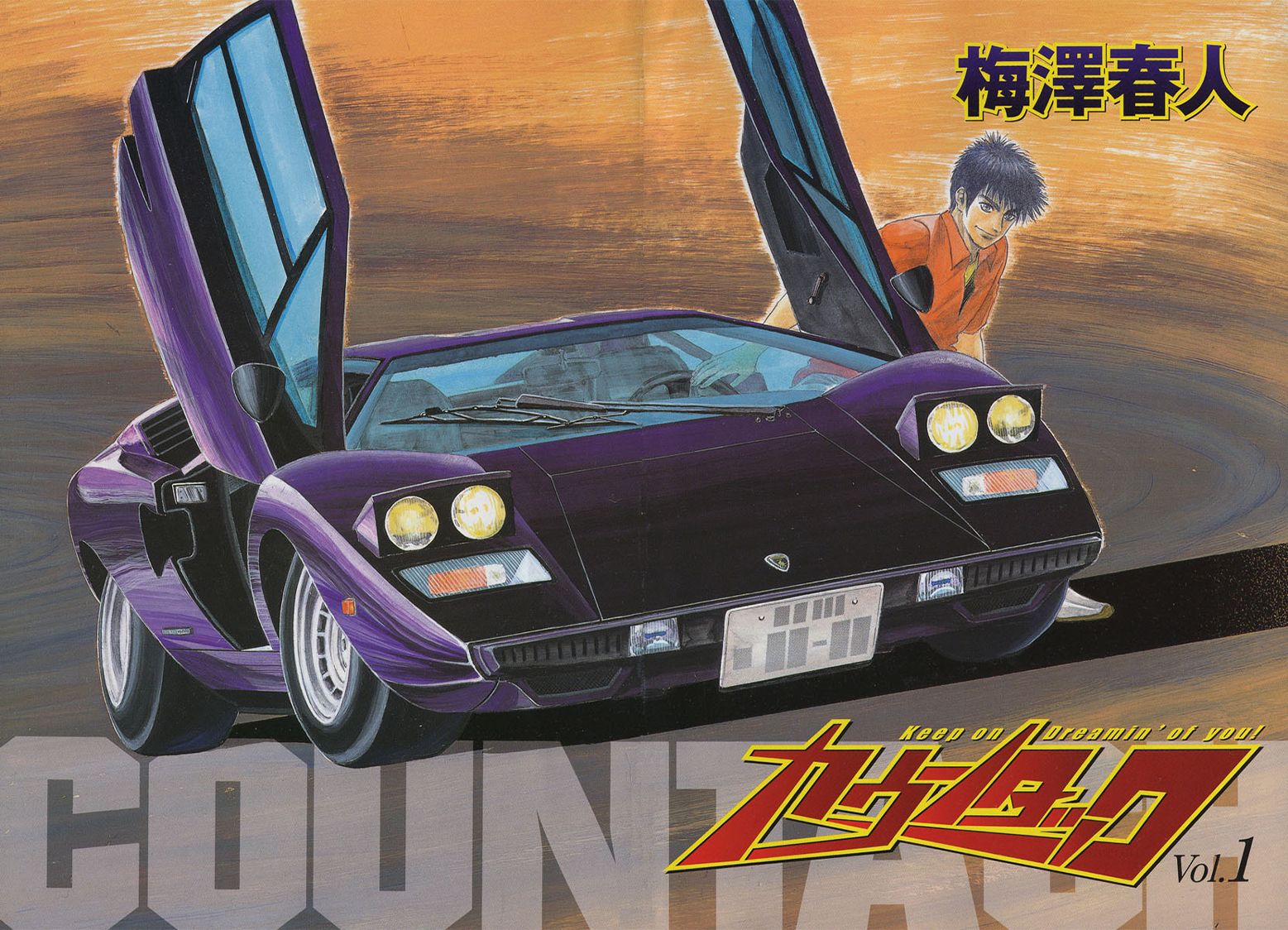 Countach Sức mạnh của bò tót 第2页
