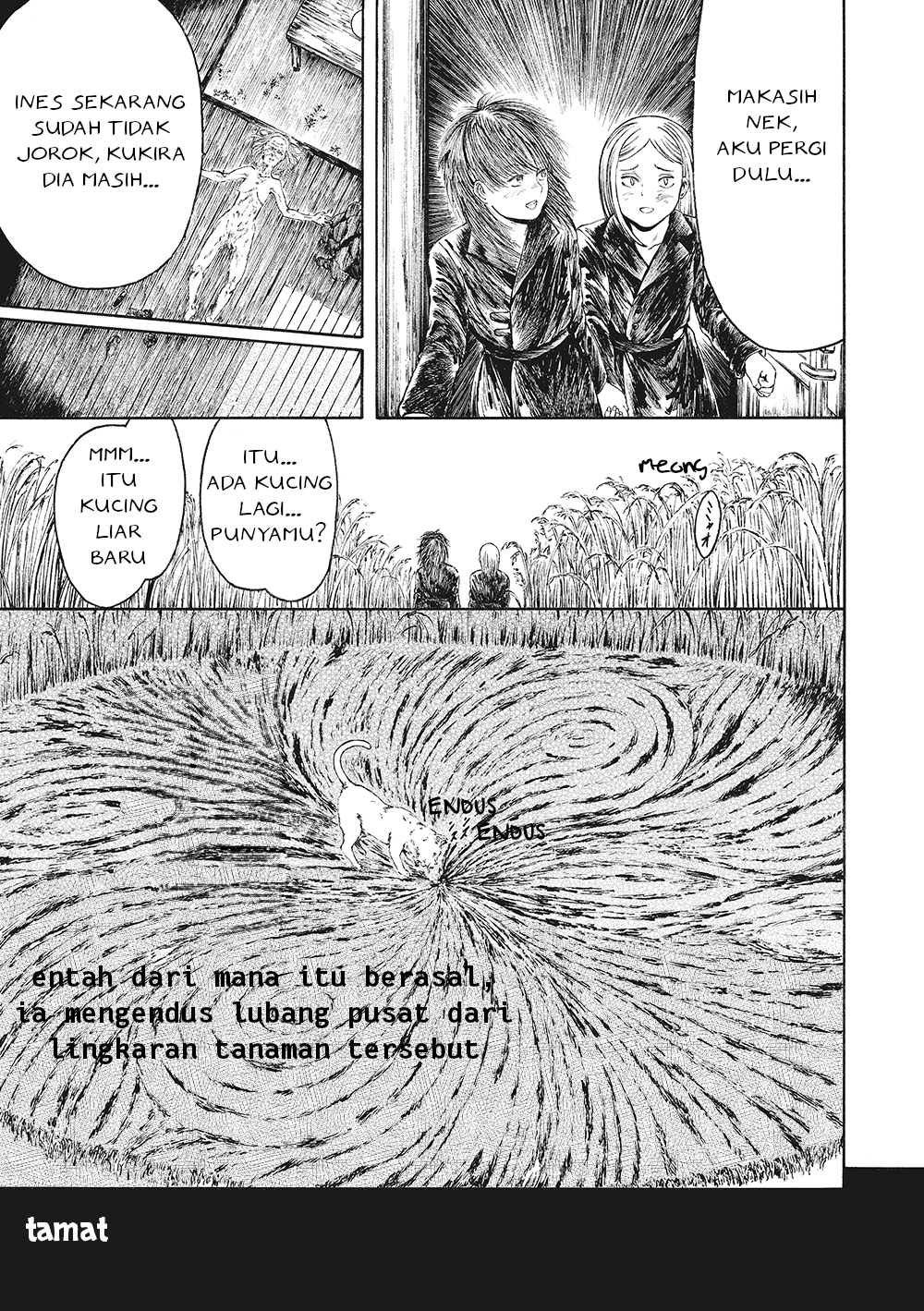 Honda Kanoko's Bookshelf Lingkaran Tanaman Kesuburan 第11页