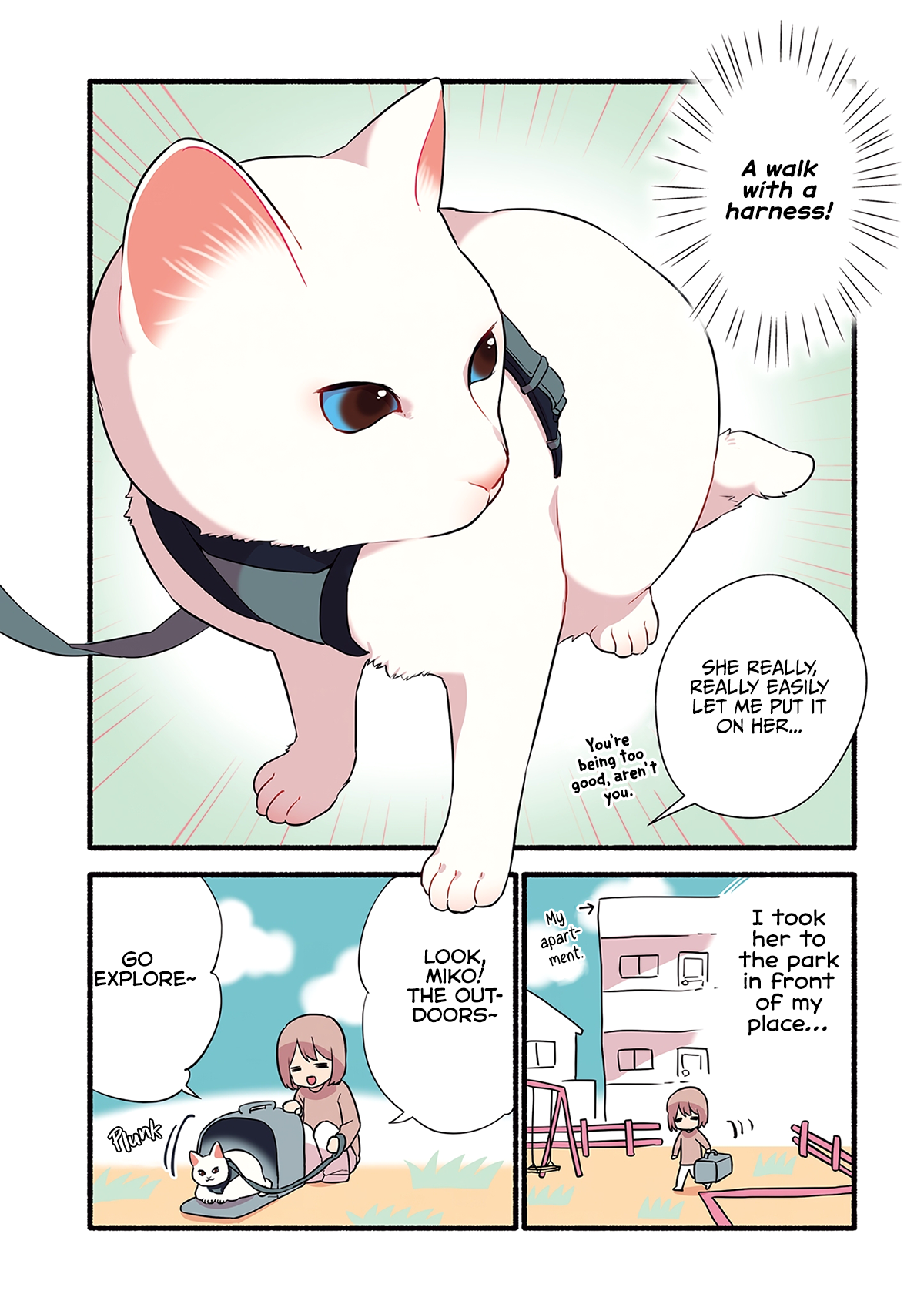 Aisaretagari no Shironeko Miko-san Part 4: Miko-san And Walking 第4页