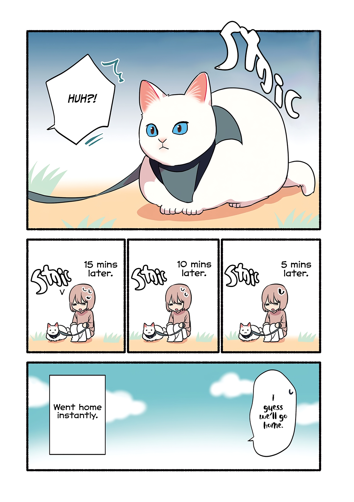 Aisaretagari no Shironeko Miko-san Part 4: Miko-san And Walking 第5页