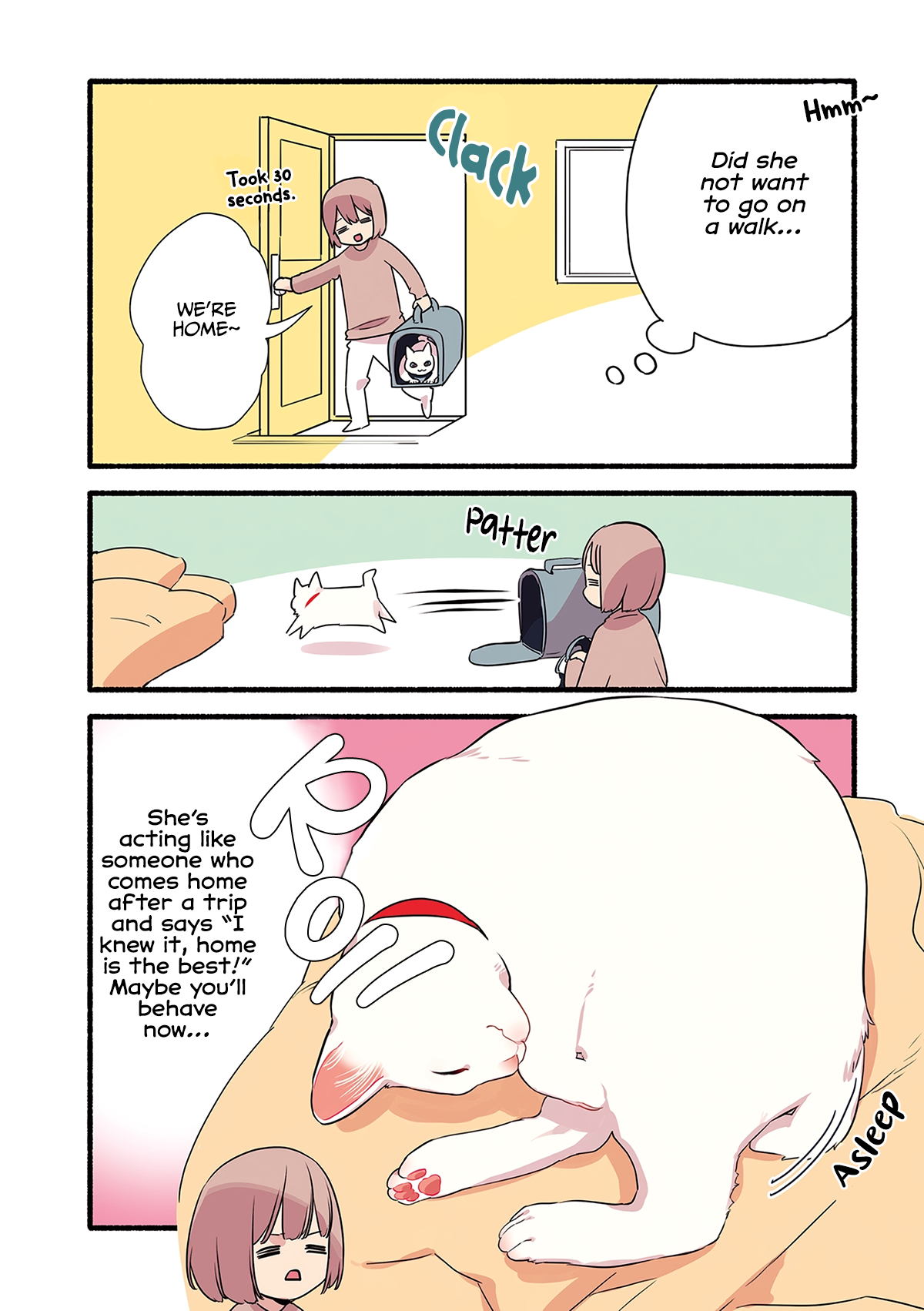 Aisaretagari no Shironeko Miko-san Part 4: Miko-san And Walking 第6页