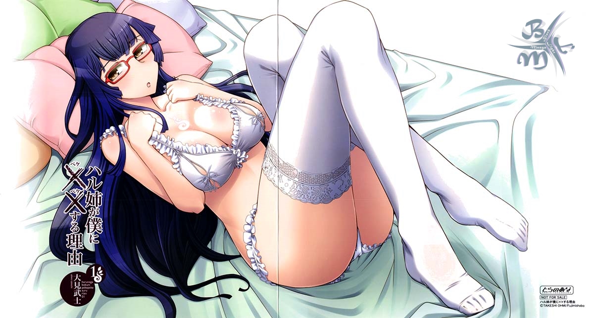 Haru-nee ga Boku ni XX Suru Riyuu Vol. 1 Ch. 1 第4页