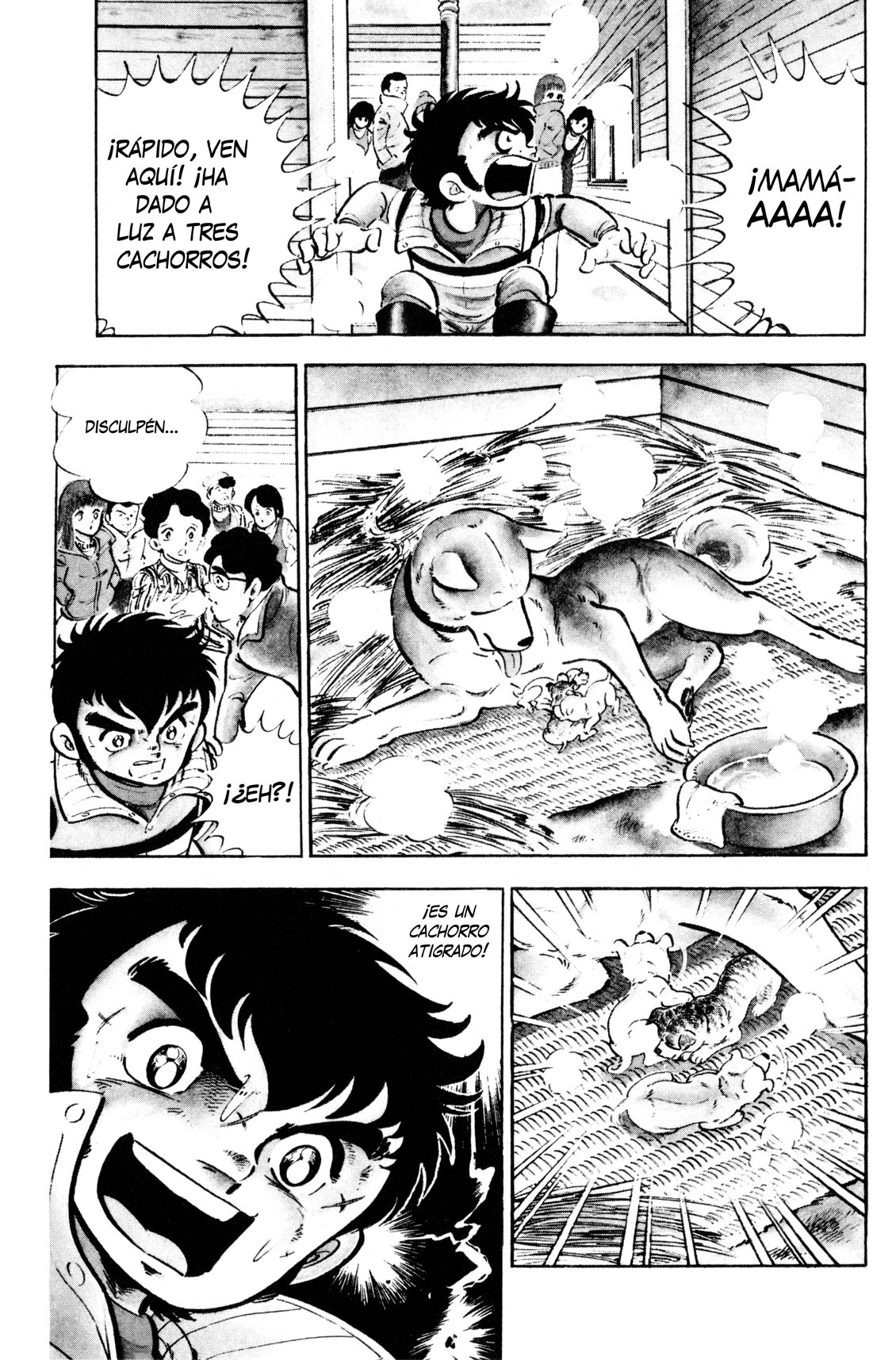 Silver Fang – The Shooting Star Gin – ¡El nacimiento del perro cazador de osos, Gin! 第16页