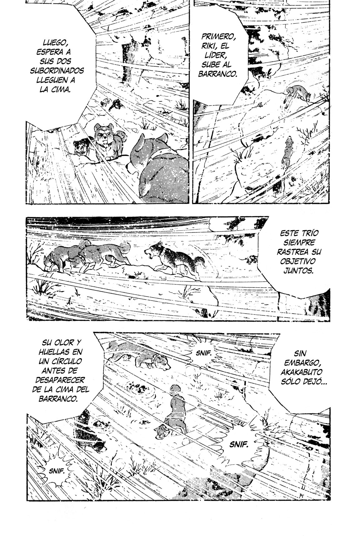 Silver Fang – The Shooting Star Gin – ¡El nacimiento del perro cazador de osos, Gin! 第41页