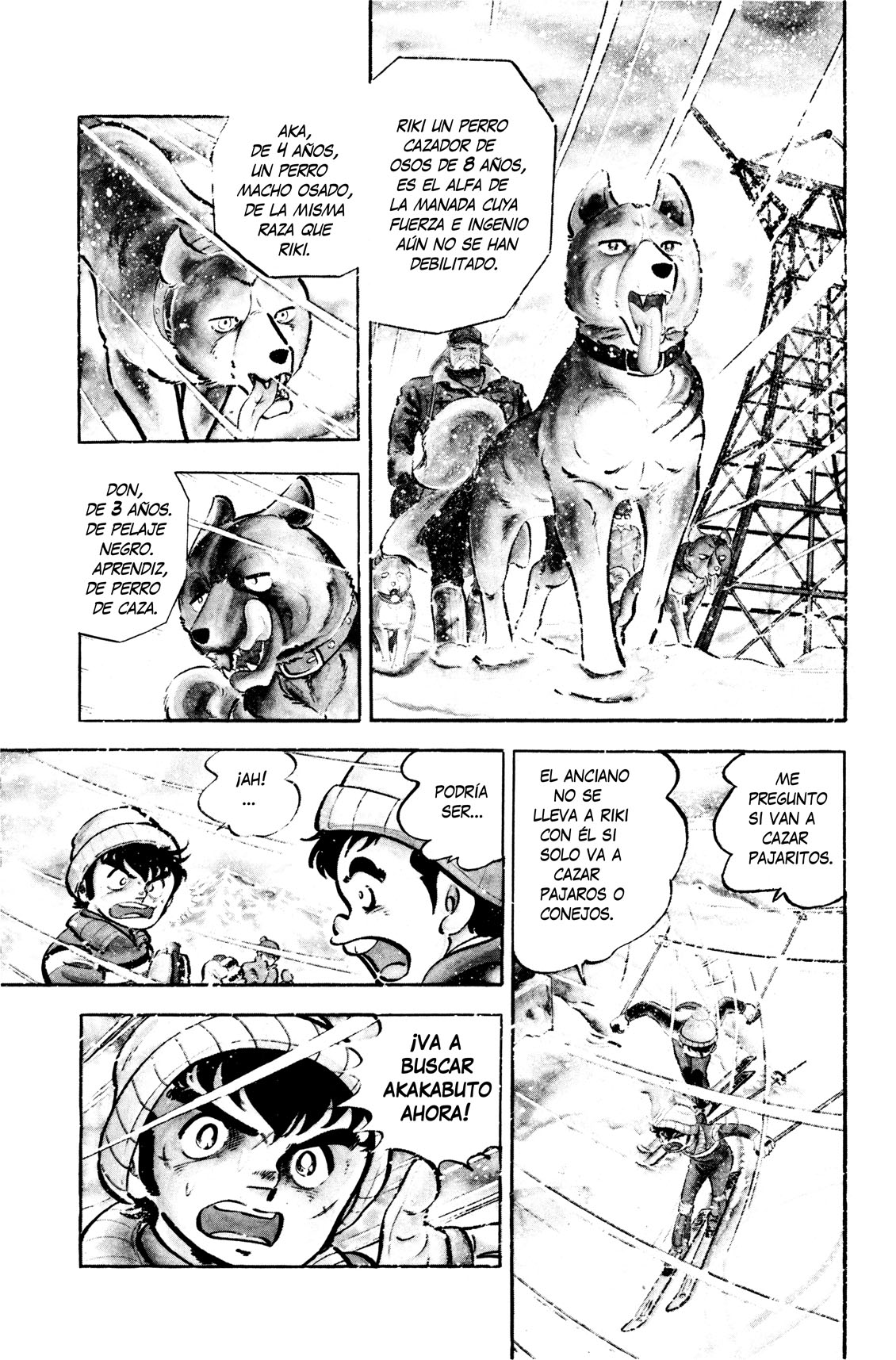 Silver Fang – The Shooting Star Gin – ¡El nacimiento del perro cazador de osos, Gin! 第7页