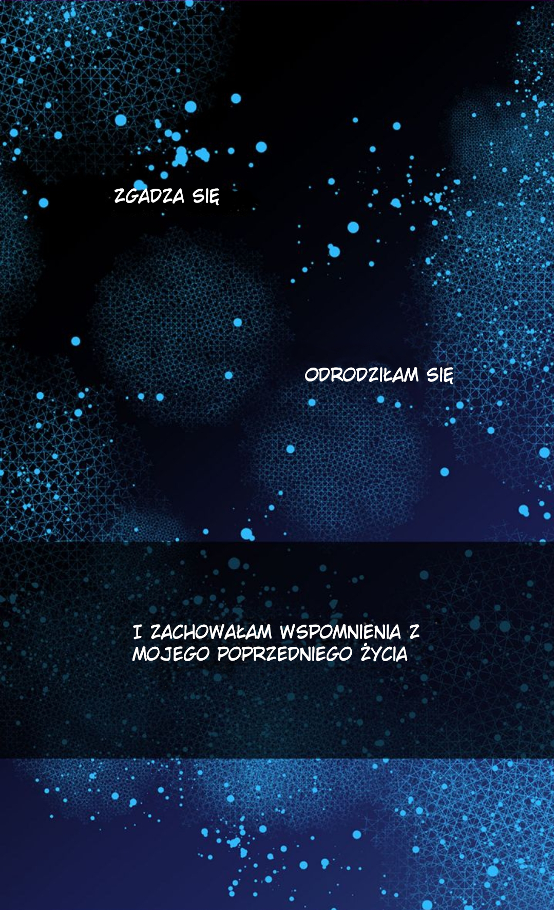 Adelaide Prolog 第19页