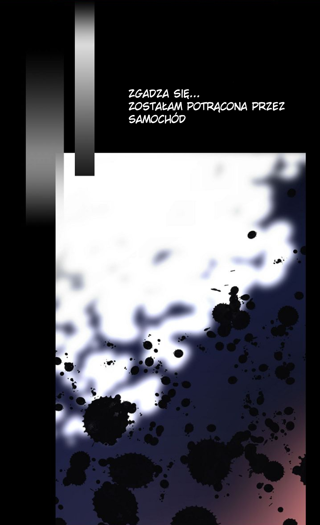 Adelaide Prolog 第10页