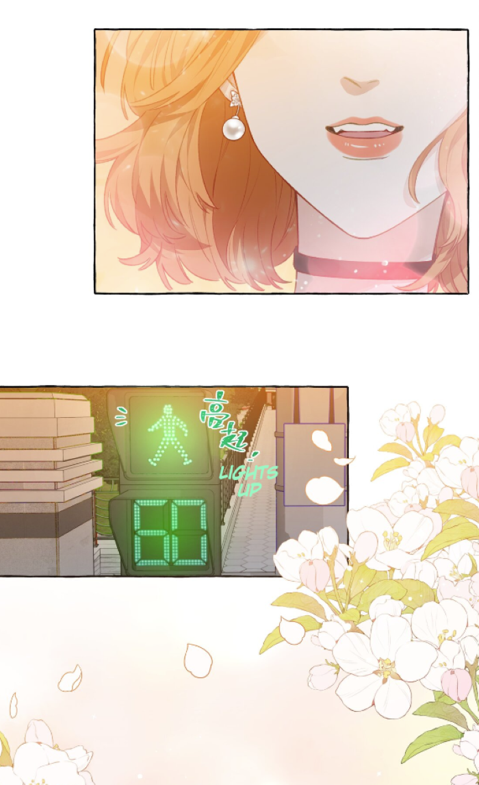 Foxes Always Lie Prologue: A Surprise Collaboration 第32页