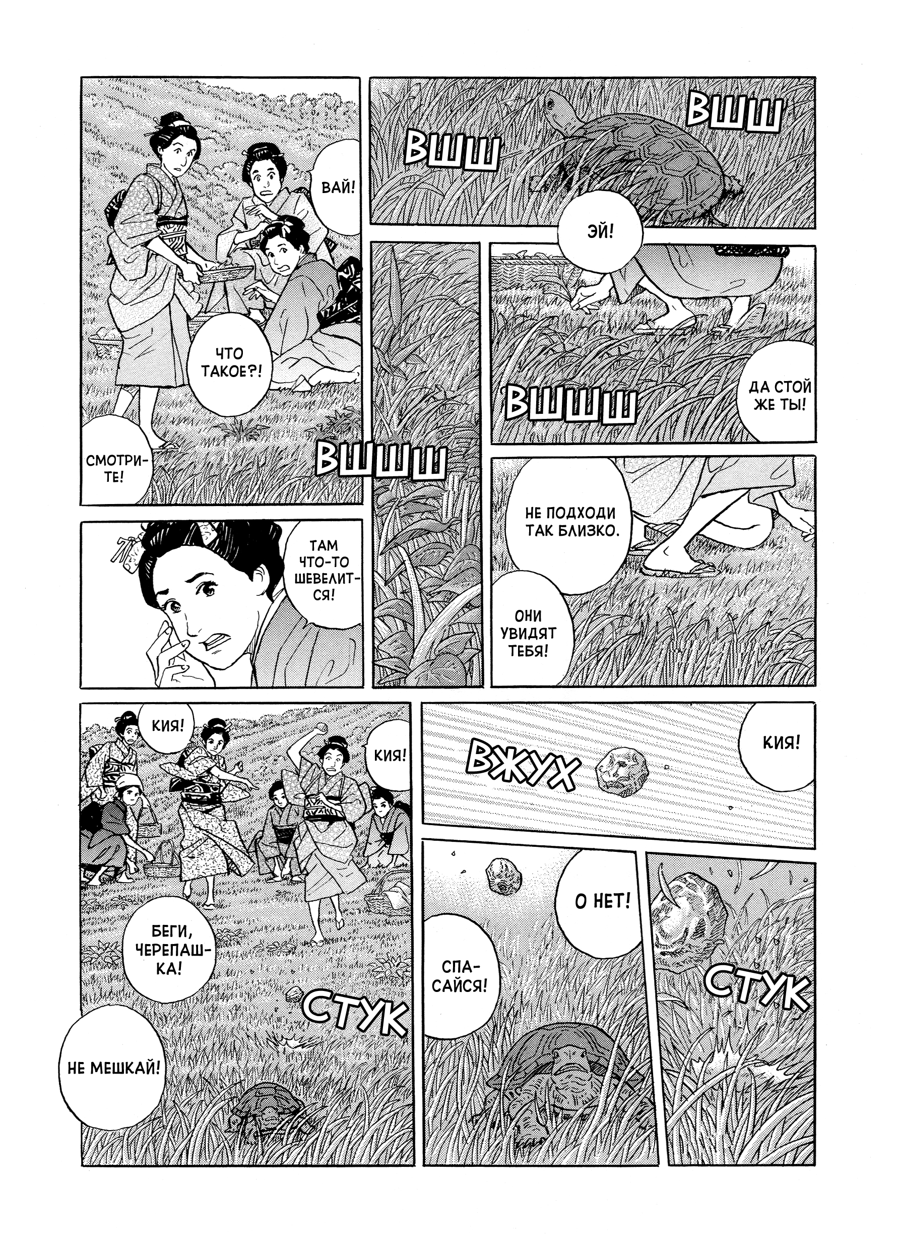 Furari Черепаха 第12页