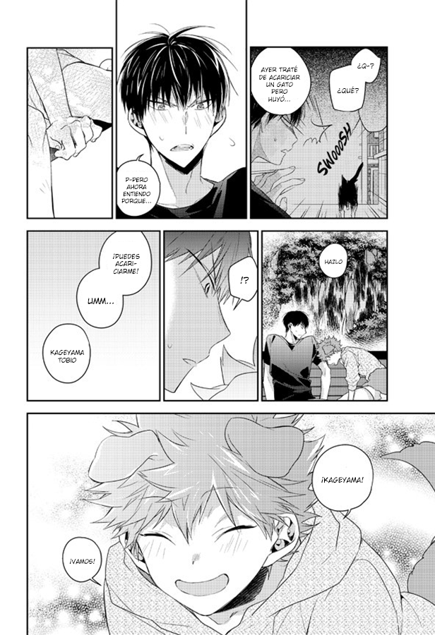 Haikyuu!! - Puppy love (Doujinshi) Oneshot 第15页