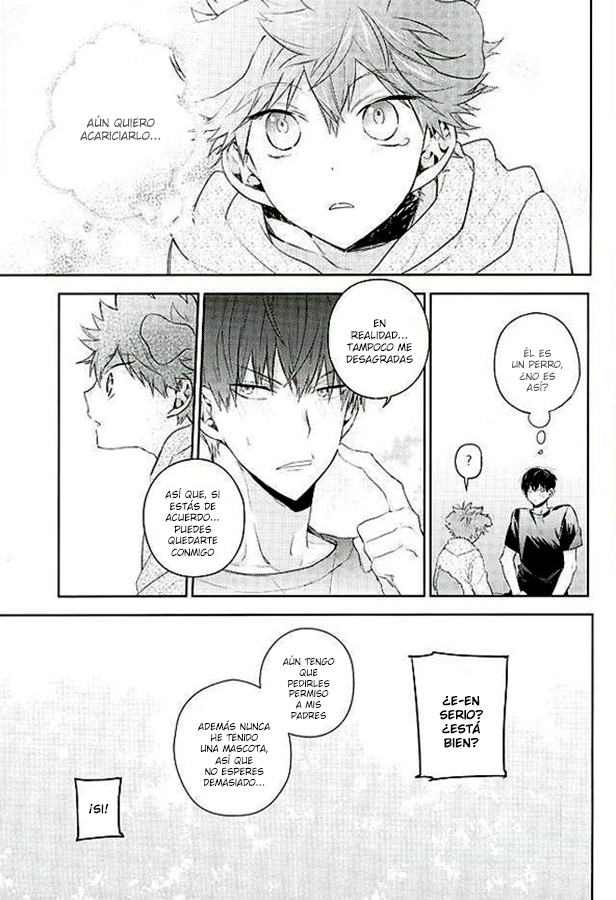 Haikyuu!! - Puppy love (Doujinshi) Oneshot 第20页