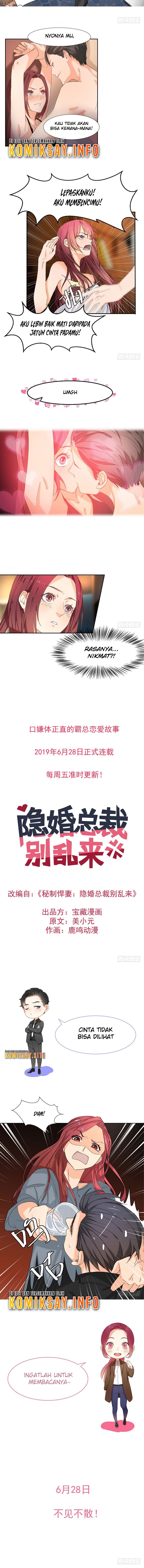 The Hidden Marriage President, Don't Mess Around 第4页