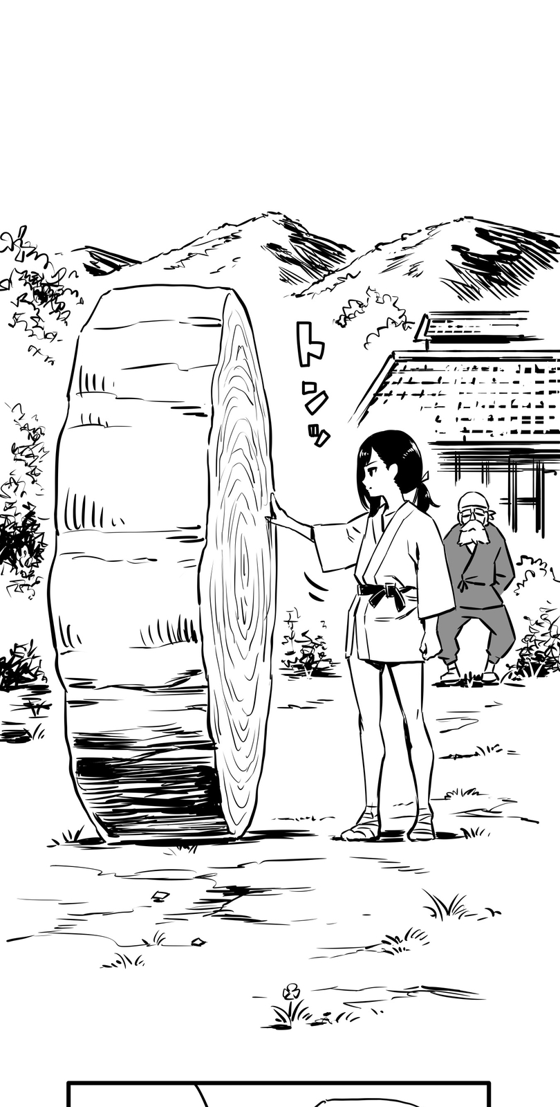 Shina Ultimate Departure 第10页