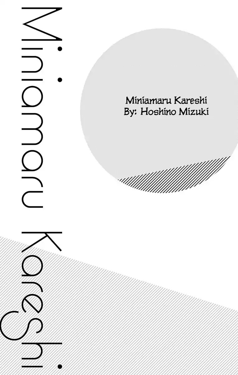 Miniamaru Kareshi 第3页