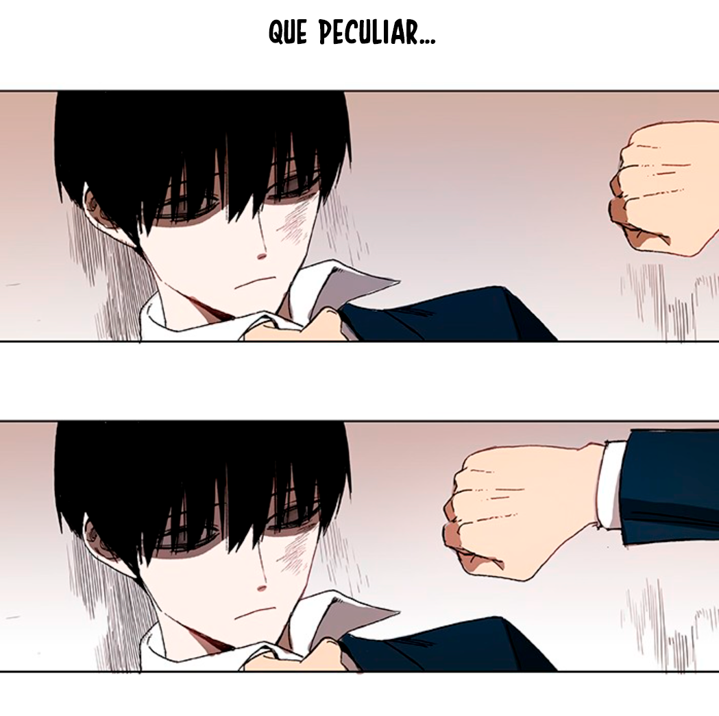 The Boxer PRESAGIO 第14页