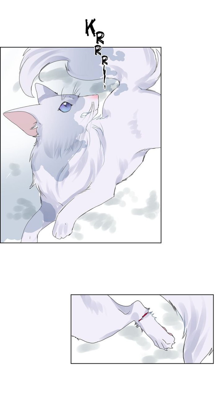 To Catch A Falling Star Ch. 5 第18页