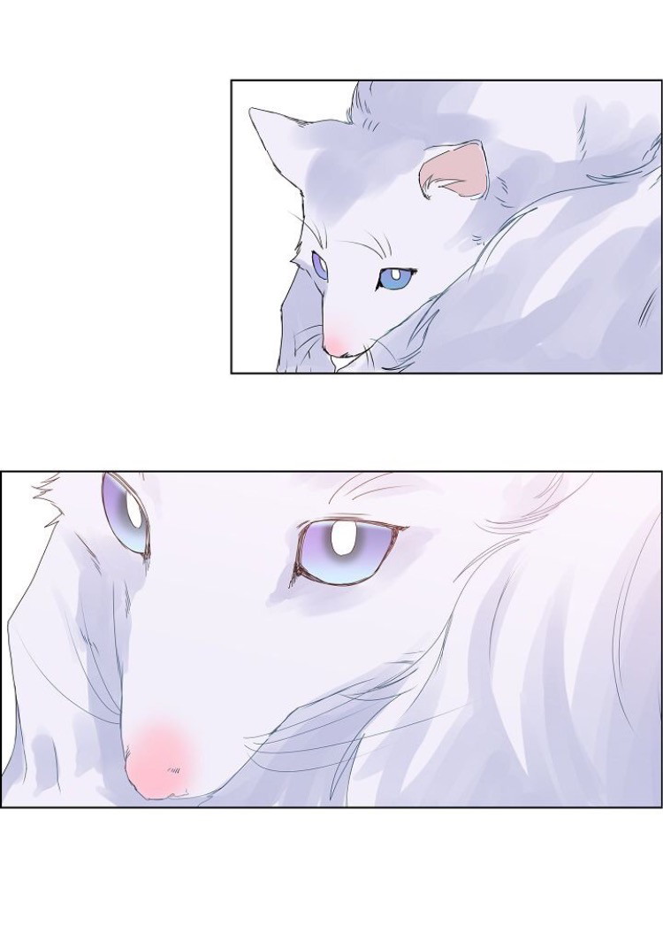 To Catch A Falling Star Ch. 5 第26页