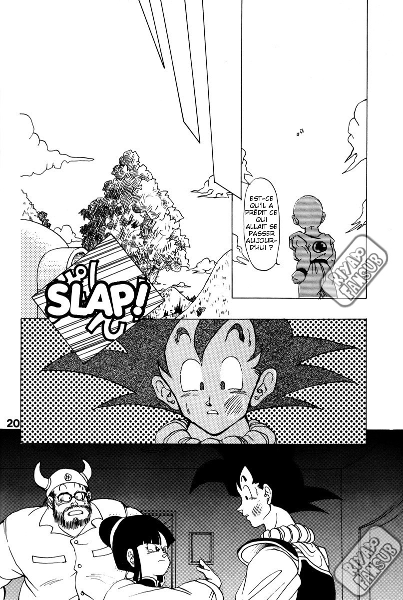 Dragon Ball - A Dream From The World (Doujinshi) Oneshot 第16页