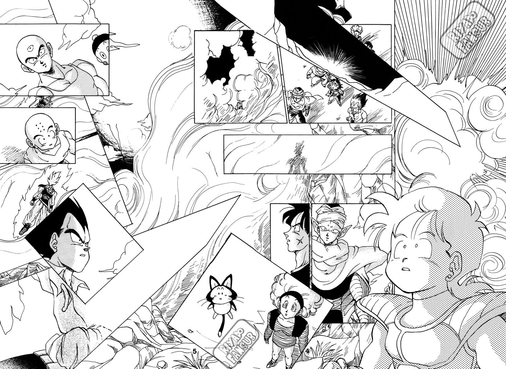 Dragon Ball - A Dream From The World (Doujinshi) Oneshot 第3页