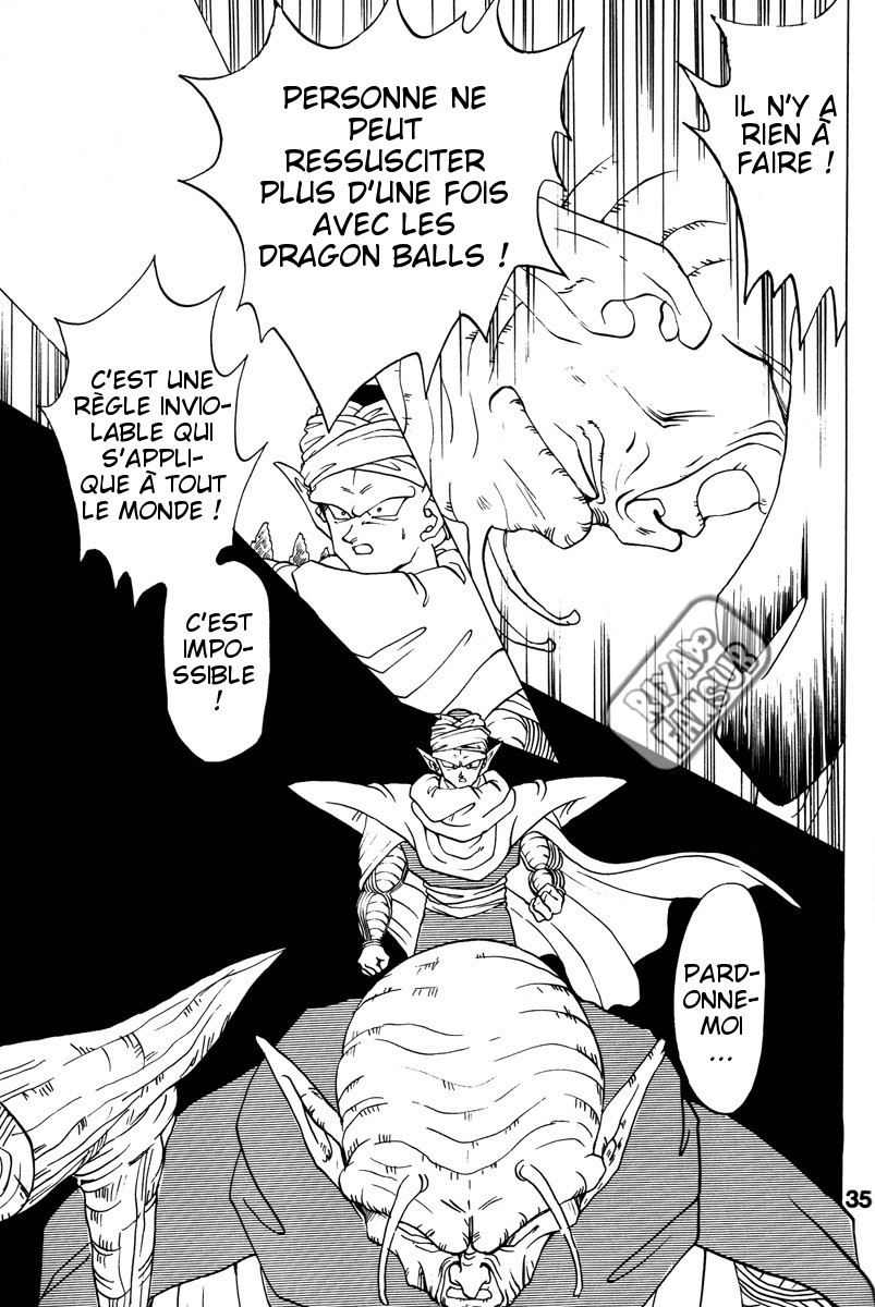 Dragon Ball - A Dream From The World (Doujinshi) Oneshot 第30页