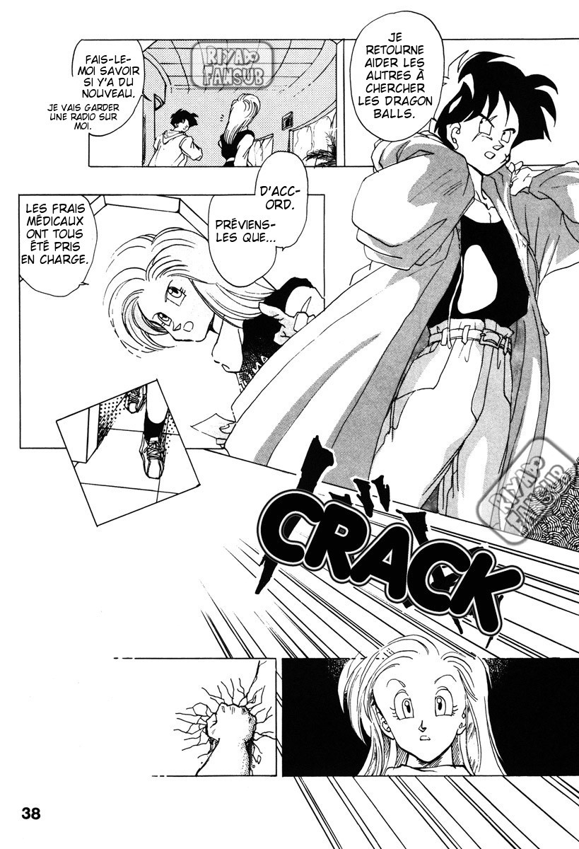 Dragon Ball - A Dream From The World (Doujinshi) Oneshot 第33页