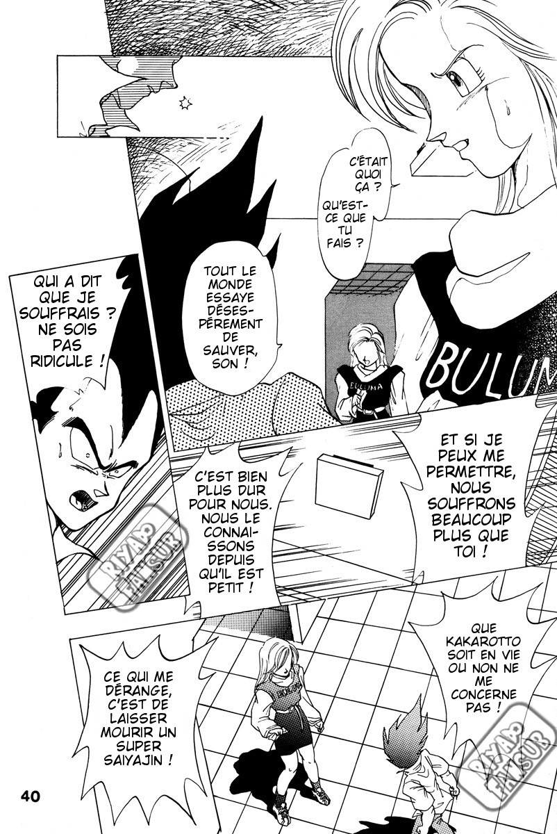 Dragon Ball - A Dream From The World (Doujinshi) Oneshot 第35页