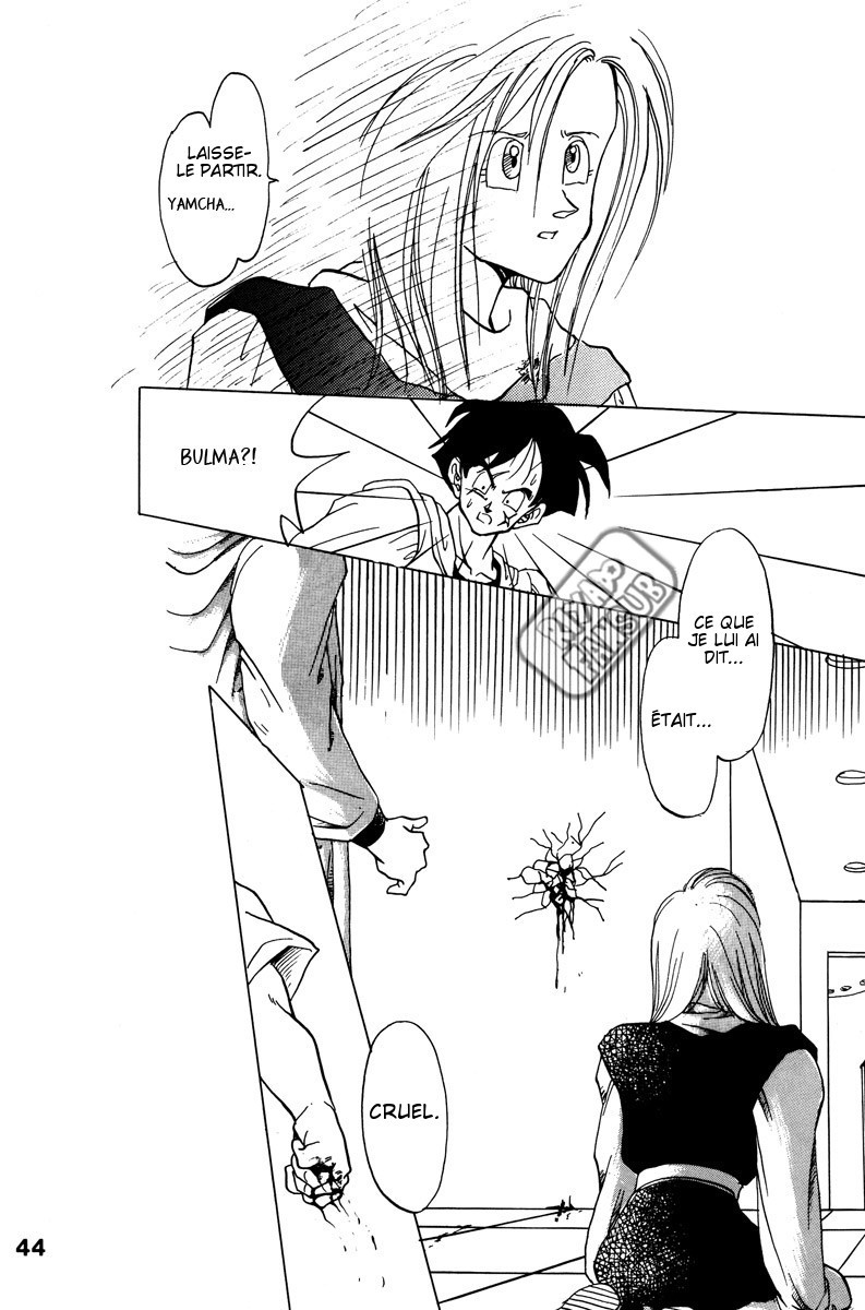 Dragon Ball - A Dream From The World (Doujinshi) Oneshot 第39页