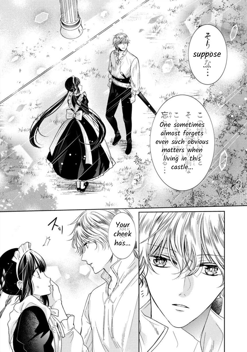 Majo Maid wa Joou no Himitsu o Shitte Iru The Truth Behind the Queen 第17页