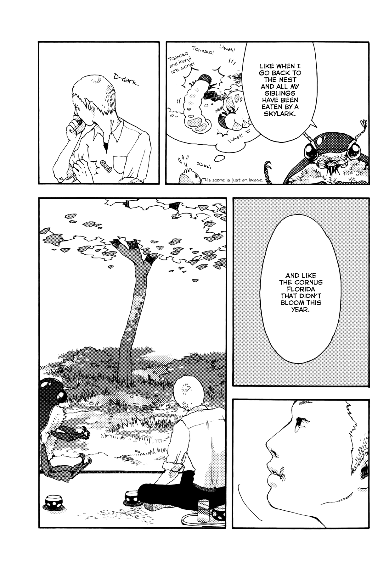 The Land Is a Garden in Your Pocket The Garden of May 第21页